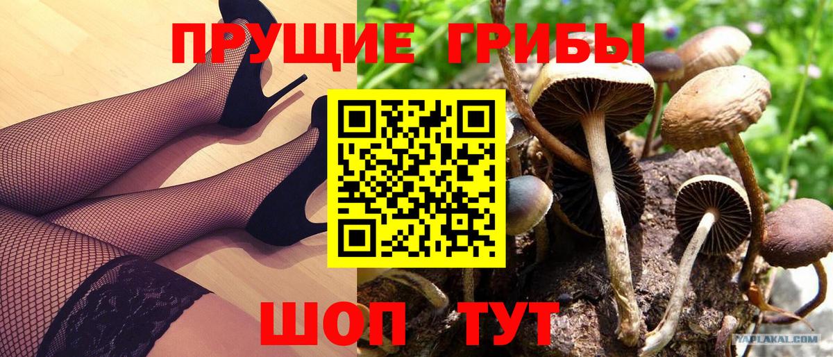 Галлюциногенные грибы MAGIC MUSHROOMS  Вход с VPN  Азнакаево 